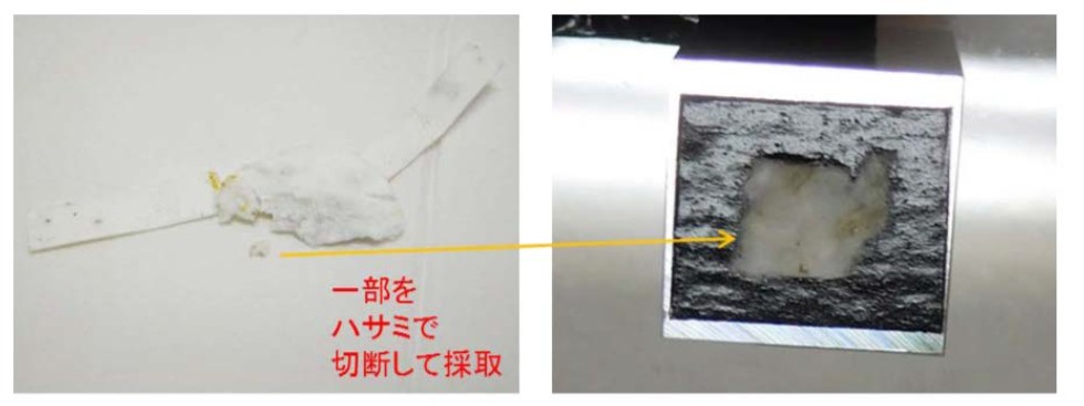 図1 FE-SEM観察台へのサンプル採取