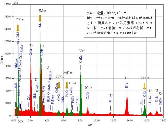 位置⑦ 矢印：定量に用いたピーク 括弧で示した元素：分析系材料や保護膜材として使用されている元素等（Cu：メッシュ材、Co：計測システム構成材料、C：加工時蒸着元素）からのEDX信号