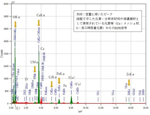位置⑪ 矢印：定量に用いたピーク 括弧で示した元素：分析系材料や保護膜材として使用されている元素等（Cu：メッシュ材、C：加工時蒸着元素）からのEDX信号