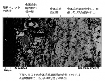 図９(a) 下部クラストサンプルの拡大金相写真（金属溶融凝固物中のUO2結晶析出）（K9-P1）[2]