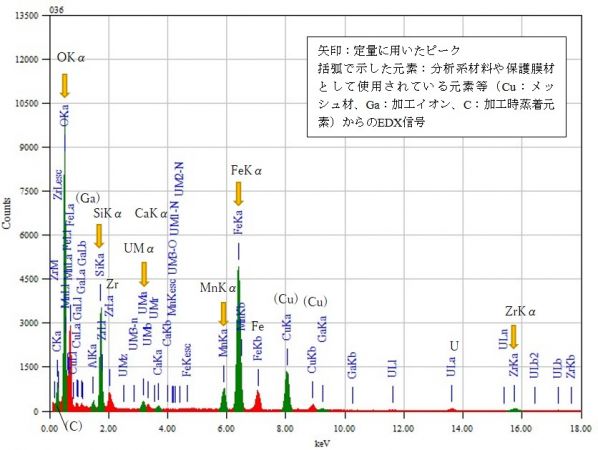 位置⑨ 矢印：定量に用いたピーク 括弧で示した元素：分析系材料や保護膜材として使用されている元素等（Cu：メッシュ材、Ga：加工イオン、C：加工時蒸着元素）からのEDX信号