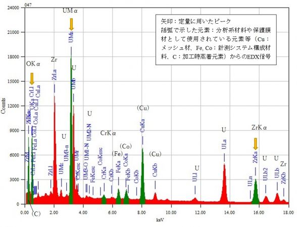 位置⑤ 矢印：定量に用いたピーク 括弧で示した元素：分析系材料や保護膜材として使用されている元素等（Cu：メッシュ材、Fe, Co：計測システム構成材料、C：加工時蒸着元素）からのEDX信号
