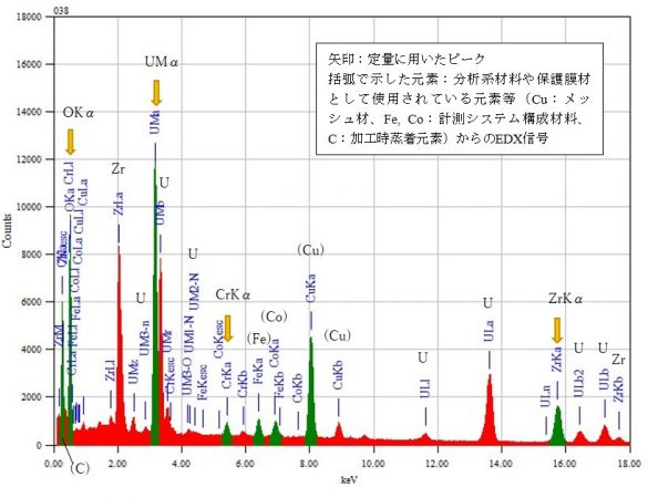 位置① 矢印：定量に用いたピーク 括弧で示した元素：分析系材料や保護膜材として使用されている元素等（Cu：メッシュ材、Fe, Co：計測システム構成材料、C：加工時蒸着元素）からのEDX信号