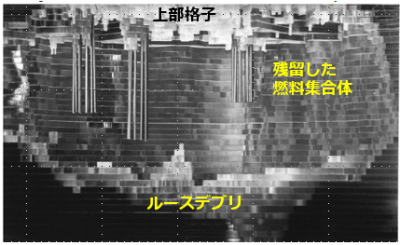 図11　炉心上部空洞のTopography像 [1,2]