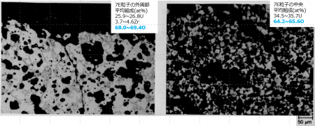 図30(b)(c)　7E粒子の外周部と中央部の断面金相（拡大、エッチング後）