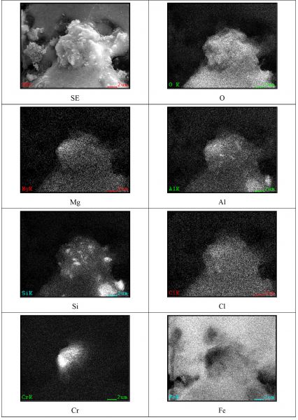 図17 2WEL2103B 領域04拡大SEM-EDSマッピング