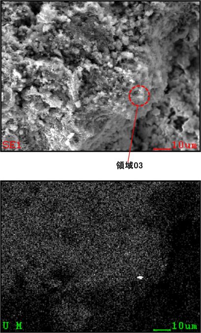 図10 2WEL2101B-1における着目領域03の設定(赤破線中心を領域の中心とする)