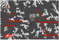 図X2：BSE像(Corium11:Caリッチ)[2]