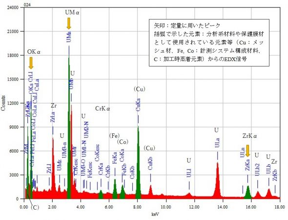 位置④ 矢印：定量に用いたピーク 括弧で示した元素：分析系材料や保護膜材として使用されている元素等（Cu：メッシュ材、Fe, Co：計測システム構成材料、C：加工時蒸着元素）からのEDX信号