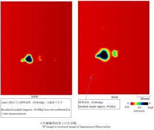 2WEL2103A-2021-IP.jpg