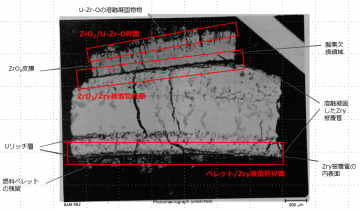 図16(a)　1E粒子の断面金相（研磨後）