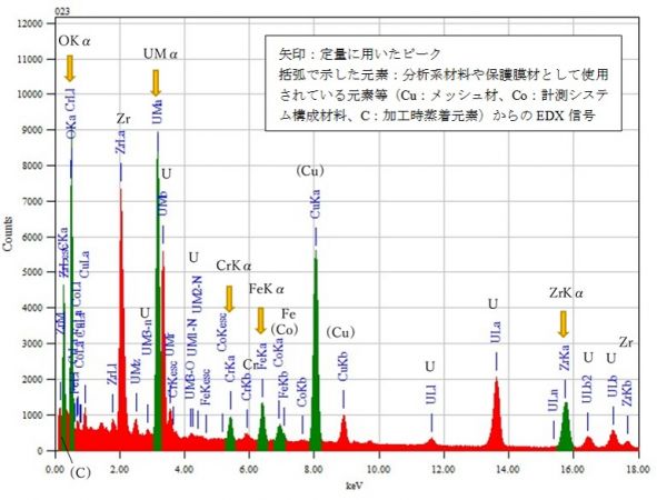 位置⑧ 矢印：定量に用いたピーク 括弧で示した元素：分析系材料や保護膜材として使用されている元素等（Cu：メッシュ材、Co：計測システム構成材料、C：加工時蒸着元素）からのEDX信号