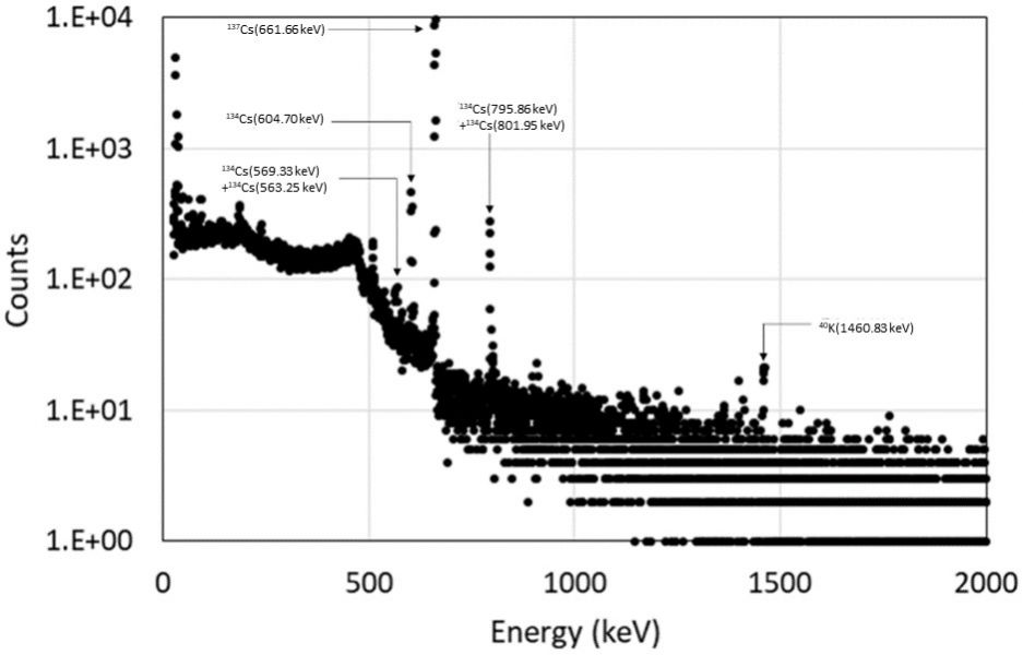 図3　2WEL2102A 溶解液のγ線スペクトル （計測日　2022/1/6、測定時間　50,000[s]）