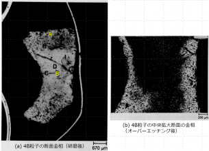 図21　4B粒子の断面金相　(a)研磨後、(b)中央部エッチング後