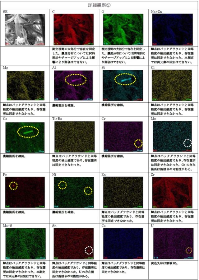 図4　FE-SEM/EDS観察結果（詳細観察②）