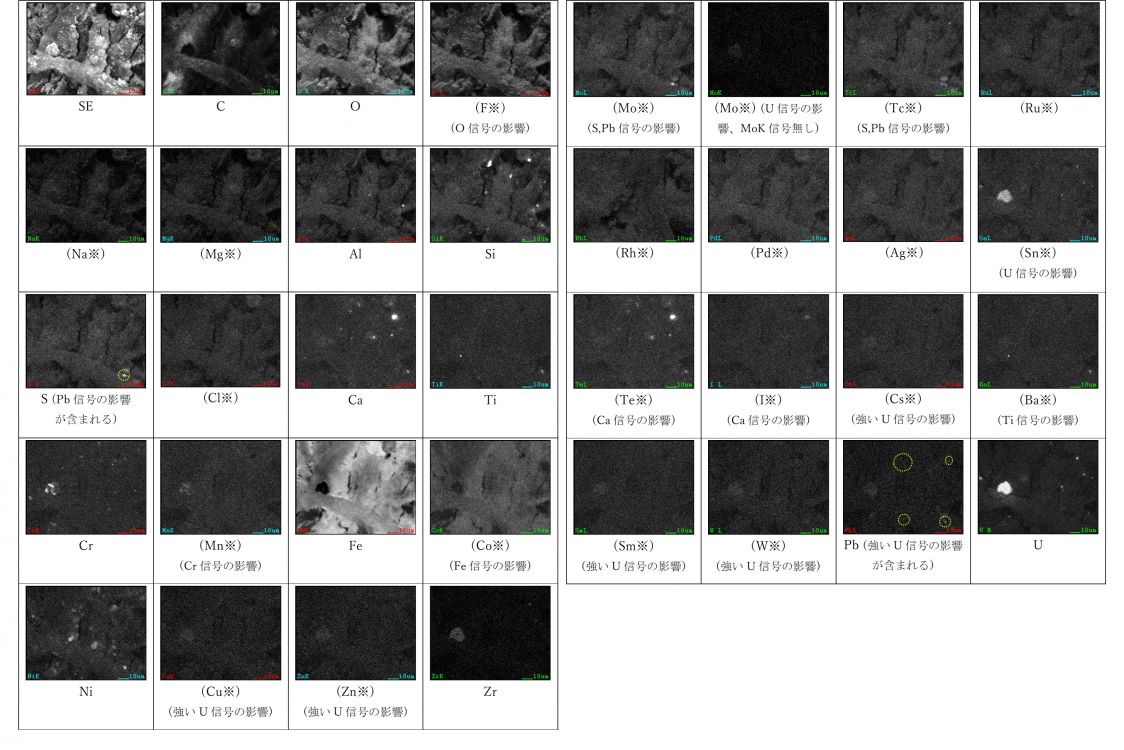 図49 2PEN2103 SEM-EDSマッピング(領域17～18を含む視野) ※試料からの有意な信号を含まない特性X線像は “※”を付し、括弧書きとした。（すべての輝点が他元素のEDX信号や試料外元素の影響である場合を含む） SE／C／O／(F※)(O信号の影響)／(Na※)／(Mg※)／Al／Si／S (Pb信号の影響が含まれる) ／(Cl※)／Ca／Ti／Cr／(Mn※)(Cr信号の影響)／Fe／(Co※)(Fe信号の影響)／Ni／(Cu※)(強いU信号の影響)／(Zn※)(強いU信号の影響)／Zr／(Mo※)(S,Pb信号の影響)／(Mo※) (U信号の影響、MoK信号無し)／(Tc※)(S,Pb信号の影響)／(Ru※)／(Rh※)／(Pd※)／(Ag※)／(Sn※)(U信号の影響)／(Te※)(Ca信号の影響)／(I※)(Ca信号の影響)／(Cs※)(強いU信号の影響)／(Ba※)(Ti信号の影響)／(Sm※)(強いU信号の影響)／(W※)(強いU信号の影響)／Pb (強いU信号の影響が含まれる)／U