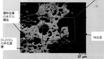 図27(e)　多孔質領域の拡大BSI