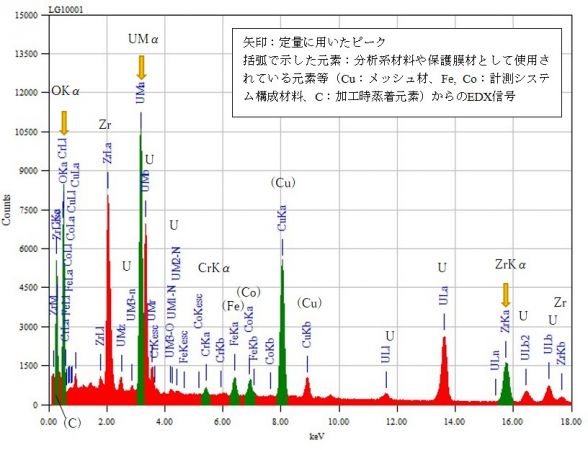 位置② 矢印：定量に用いたピーク 括弧で示した元素：分析系材料や保護膜材として使用されている元素等（Cu：メッシュ材、Fe, Co：計測システム構成材料、C：加工時蒸着元素）からのEDX信号