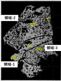 図31(a)　8A粒子の断面金相（研磨後）