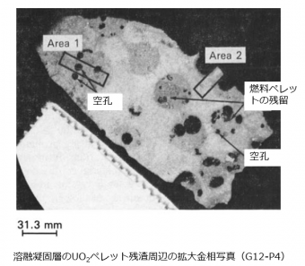 図15(b) 溶融凝固層中のUO2ペレット残差周辺の拡大金相写真 [2]