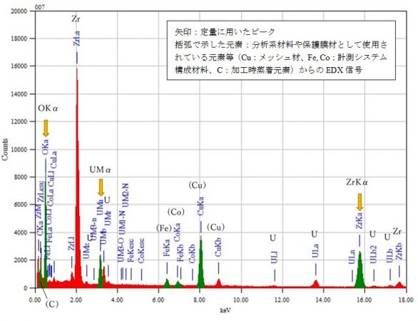 位置④ 矢印：定量に用いたピーク 括弧で示した元素：分析系材料や保護膜材として使用されている元素等（Cu：メッシュ材、Fe, Co：計測システム構成材料、C：加工時蒸着元素）からのEDX信号