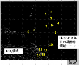 図25(g)　界面領域のEDX測定部位