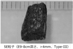 図13(j)　5E粒子の外観