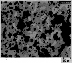 図30(d)　7E粒子の外周部の断面BSI（拡大）