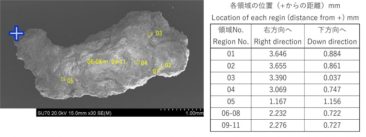 図2 2WEL2101B SEM観察用試料全体SEM像と各着目領域の位置