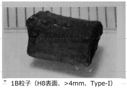 図２(b)　1B粒子の断面金相