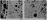 図18(b)(c)　Location-AとLocation-Cの拡大金相（研磨後）