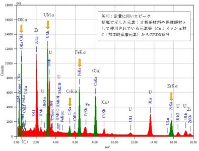 位置④