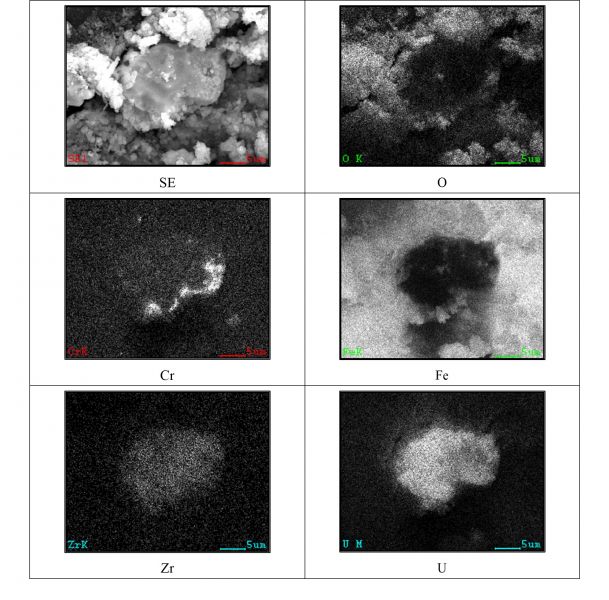 図42 2PEN2103 領域14の拡大SEM-EDSマッピング