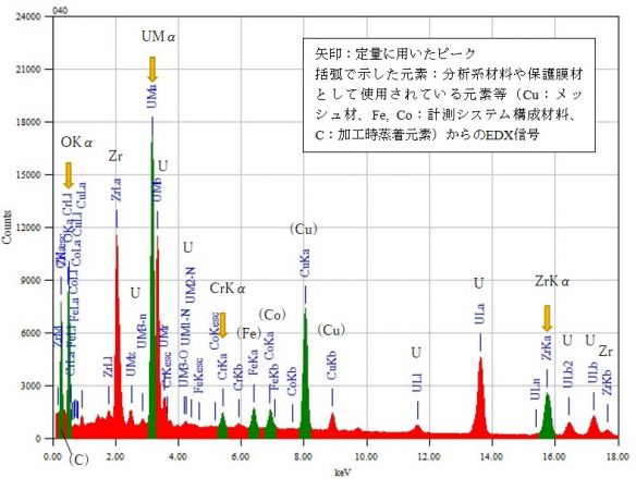 位置③ 矢印：定量に用いたピーク 括弧で示した元素：分析系材料や保護膜材として使用されている元素等（Cu：メッシュ材、Fe, Co：計測システム構成材料、C：加工時蒸着元素）からのEDX信号