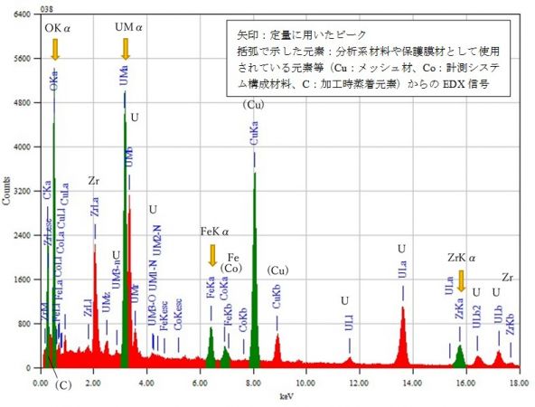 位置⑩ 矢印：定量に用いたピーク 括弧で示した元素：分析系材料や保護膜材として使用されている元素等（Cu：メッシュ材、Co：計測システム構成材料、C：加工時蒸着元素）からのEDX信号