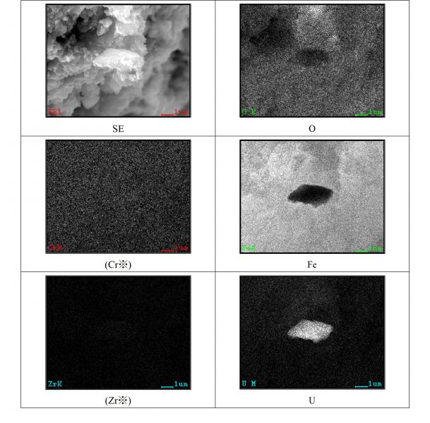 図12 2WEL2101B 領域03の拡大SEM-EDSマッピング ※ 試料からの有意な信号を含まない特性X線像は “※”を付し、括弧書きとした。
