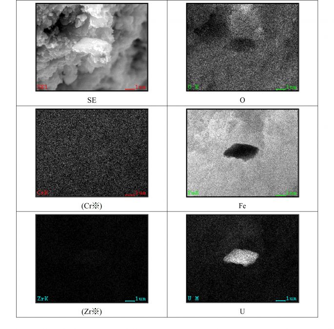 図12 2WEL2101B-1領域03の拡大SEM-EDSマッピング ※ 試料からの有意な信号を含まない特性X線像は “※”を付し、括弧書きとした。