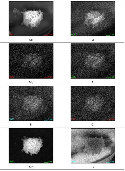図19 2WEL2103B 領域05拡大SEM-EDSマッピング