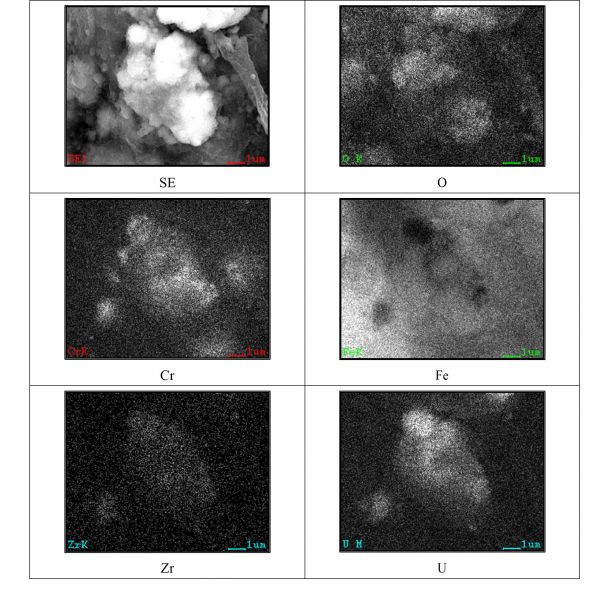 図56 2PEN2103 領域19の拡大SEM-EDSマッピング