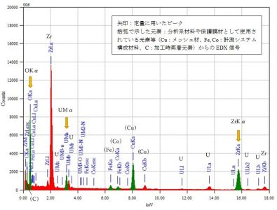 位置③