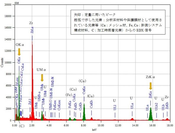 位置③ 矢印：定量に用いたピーク 括弧で示した元素：分析系材料や保護膜材として使用されている元素等（Cu：メッシュ材、Fe, Co：計測システム構成材料、C：加工時蒸着元素）からのEDX信号