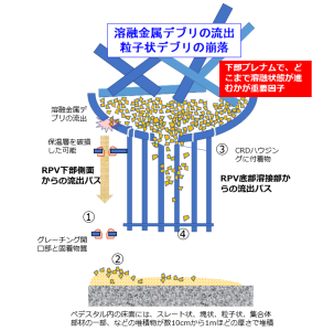 　　　　　　　　模式図４：２号機ペデスタル内部へのデブリ移行[1]