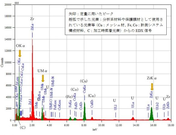 位置② 矢印：定量に用いたピーク 括弧で示した元素：分析系材料や保護膜材として使用されている元素等（Cu：メッシュ材、Fe, Co：計測システム構成材料、C：加工時蒸着元素）からのEDX信号
