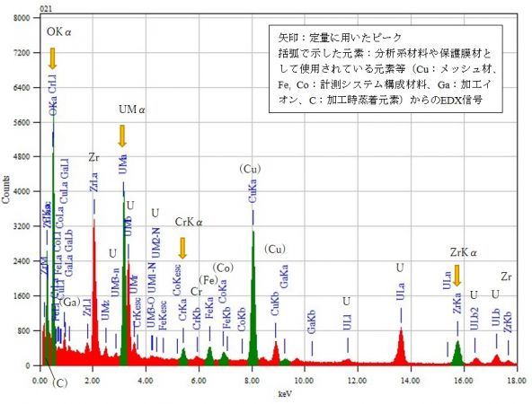 位置⑤ 矢印：定量に用いたピーク 括弧で示した元素：分析系材料や保護膜材として使用されている元素等（Cu：メッシュ材、Fe, Co：計測システム構成材料、Ga：加工イオン、C：加工時蒸着元素）からのEDX信号