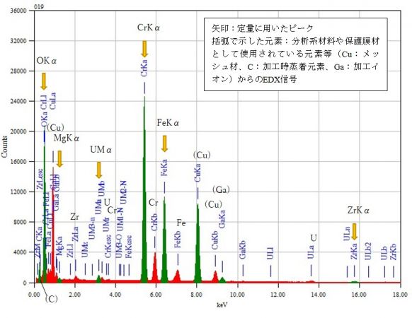 位置⑩ 矢印：定量に用いたピーク 括弧で示した元素：分析系材料や保護膜材として使用されている元素等（Cu：メッシュ材、C：加工時蒸着元素、Ga：加工イオン）からのEDX信号