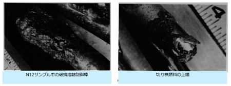 図３(c)　切り株燃料棒の上部から回収されたサンプル [2]