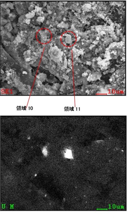 図28 2PEN2103 着目領域10～11の設定(赤破線中心を領域の中心とする)