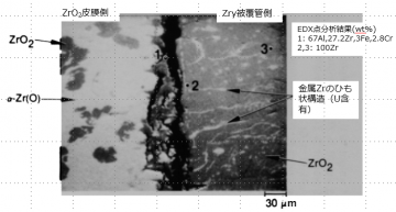 図16(c)　1E粒子のZrO2皮膜/Zry被覆管界面の拡大BSI