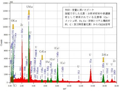 位置④ 矢印：定量に用いたピーク 括弧で示した元素：分析系材料や保護膜材として使用されている元素等（Cu：メッシュ材、Fe, Co：計測システム構成材料、C：加工時蒸着元素）からのEDX信号