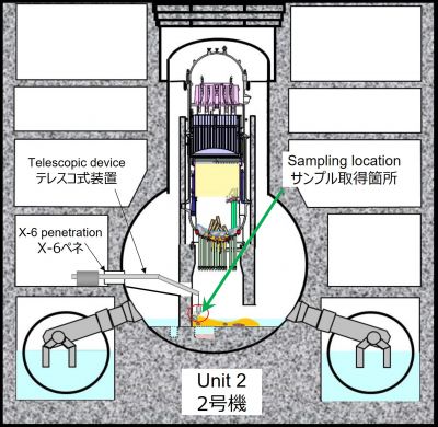 2号機試験的取り出し燃料デブリ(2024年11月採取)